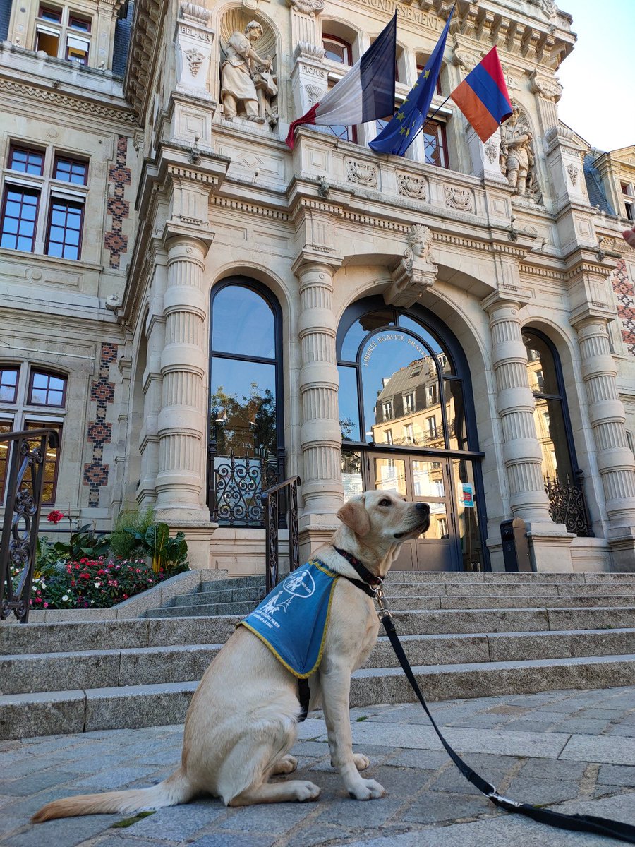 Emmanuelle Pierre-Marie tweet media