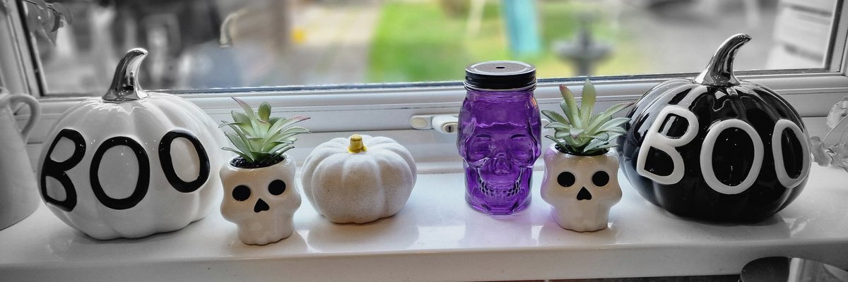 _purple_witch's tweet photo. Been a while ✌🏼 My season is upon us so here I am 💜🖤

#Halloween #Autumn #Fall #Witch #PurpleHairedWitch #PurpleHair #Spooky #AllThingsSpooky #Skull #AllThingsBlack #Pumpkins #Boo https://t.co/OxqCsDYjOV