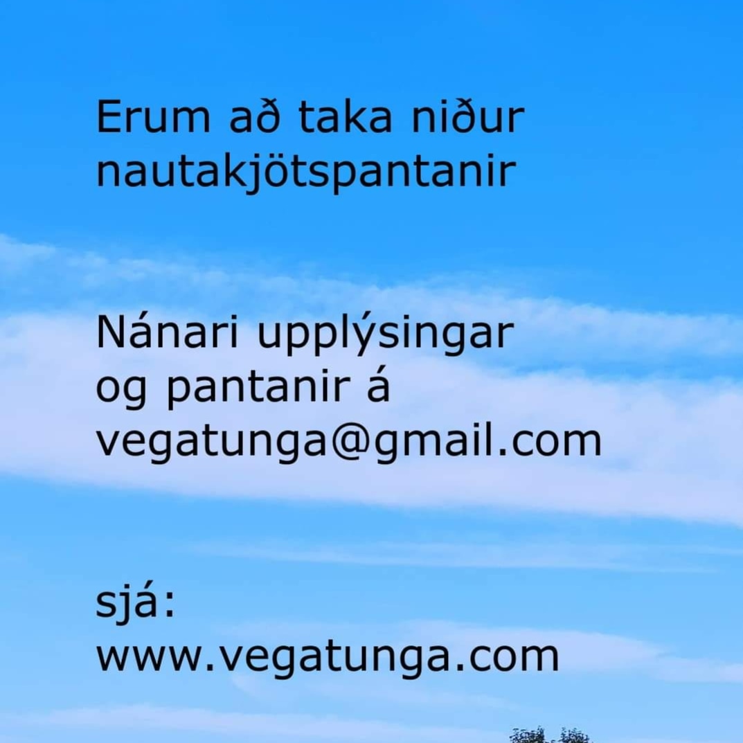 Agla Snorradóttir (@aglasnor) on Twitter photo 