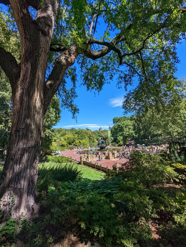 CryptoMan_Ram's tweet image. Took the opportunity to drop in on an old haunt near the lake in Central Park after #Mainnet2022 on a glorious fall afternoon. Now to Singapore for #TOKEN2049.Good to be back on the circuit for a couple of conferences, for now at least.(keynoting on bridges in Singapore btw)