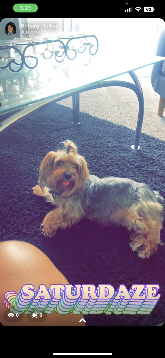 🐾💚MaX🐾💚