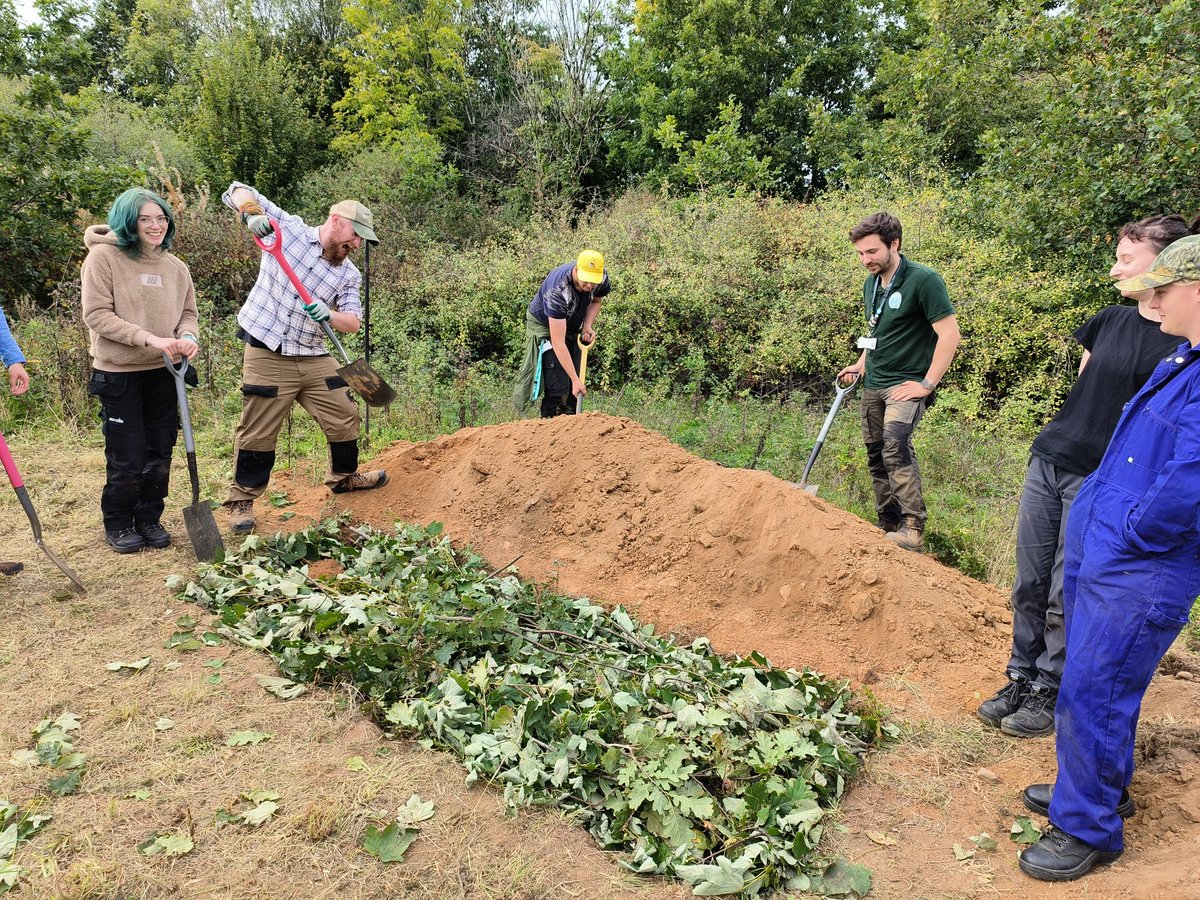 LynEvans2's tweet photo. First volunteer session of the new academic year. We had to fell some dead ash that is near a footpath, so it was the perfect excuse to create another reptile hibernacula! https://t.co/4HkruaxQLr