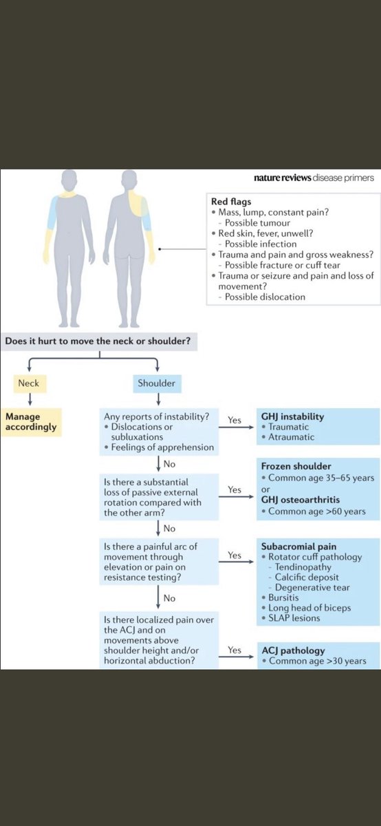 Useful diagram from Millar et al (2022) 

Overview of some features associated with more common shoulder pathologies to help aid your clinical reasoning