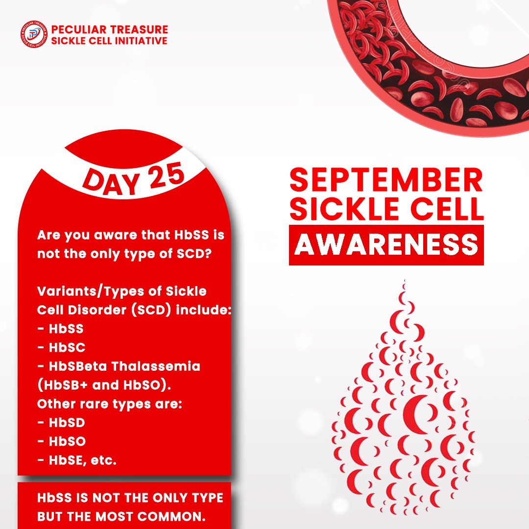 Pectreasure_SCI's tweet photo. HbSS is not the only type of SCD https://t.co/y8OQtoSTOV