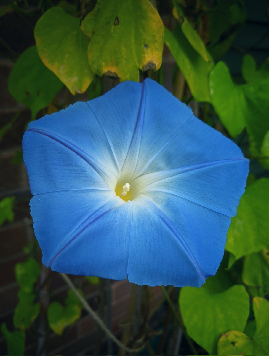 Lindsey💙 🇺🇦 tweet media