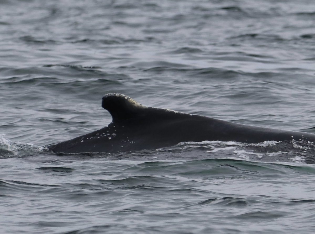 Barry Skinner tweet media