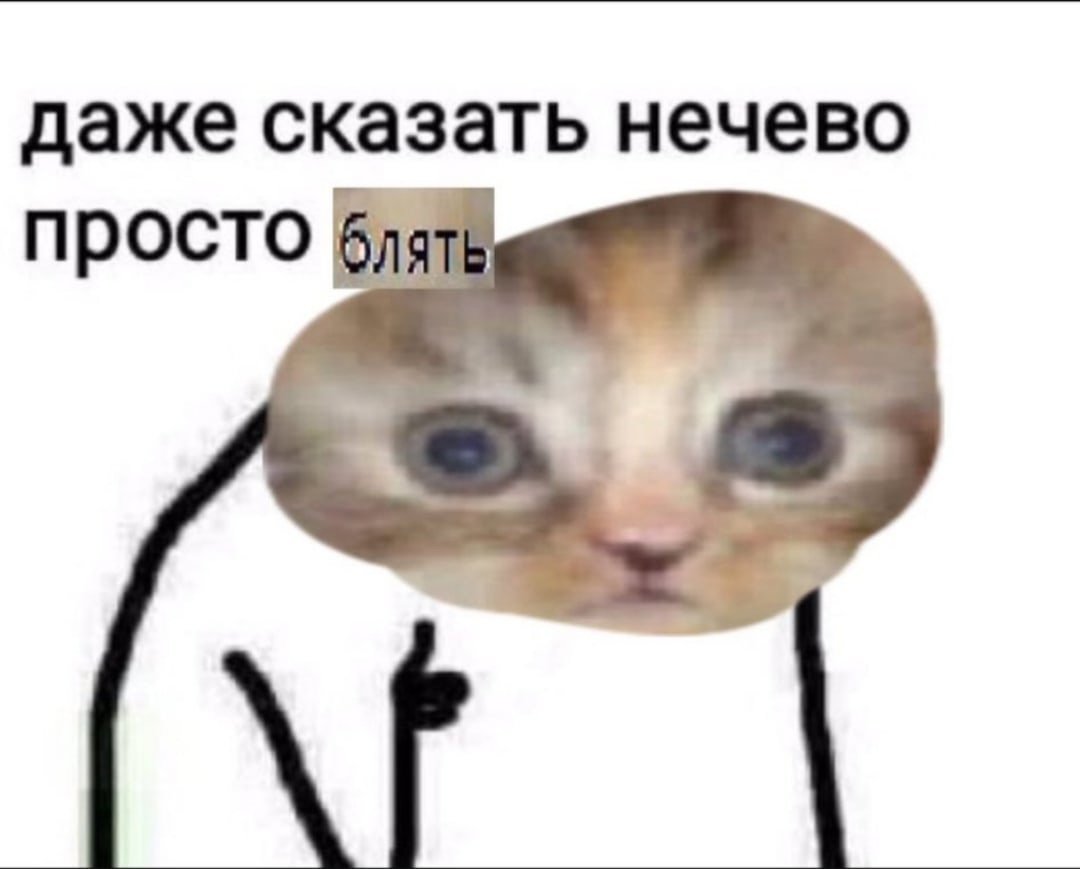 FiscopAiR's tweet photo. я: ого, как хорошо пошёл процесс написания фанфиков, процессник не пылится, на ещё две идеи пишу куски, обдумываю сюжет, вот это да

я сегодня, разобрав, че со мной вообще происходит: https://t.co/GEnbH2sEDL