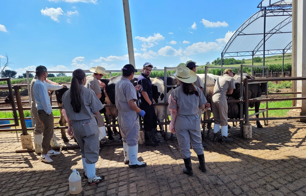 Eliab Estrada tweet media