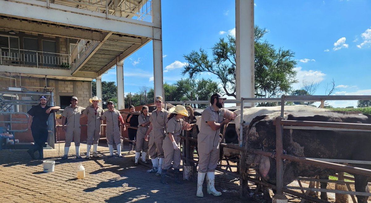 Eliab Estrada tweet media