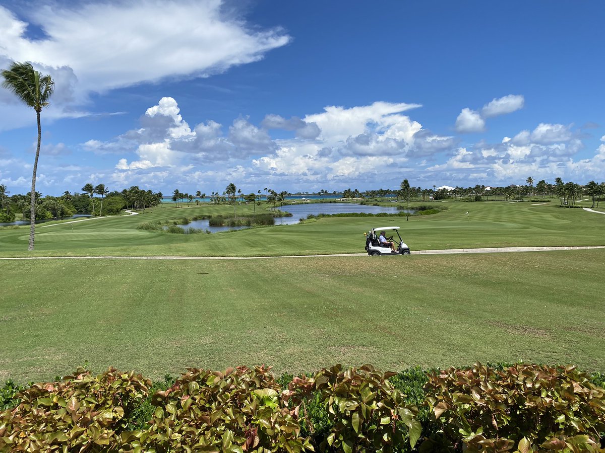 Jeff Todd tweet media