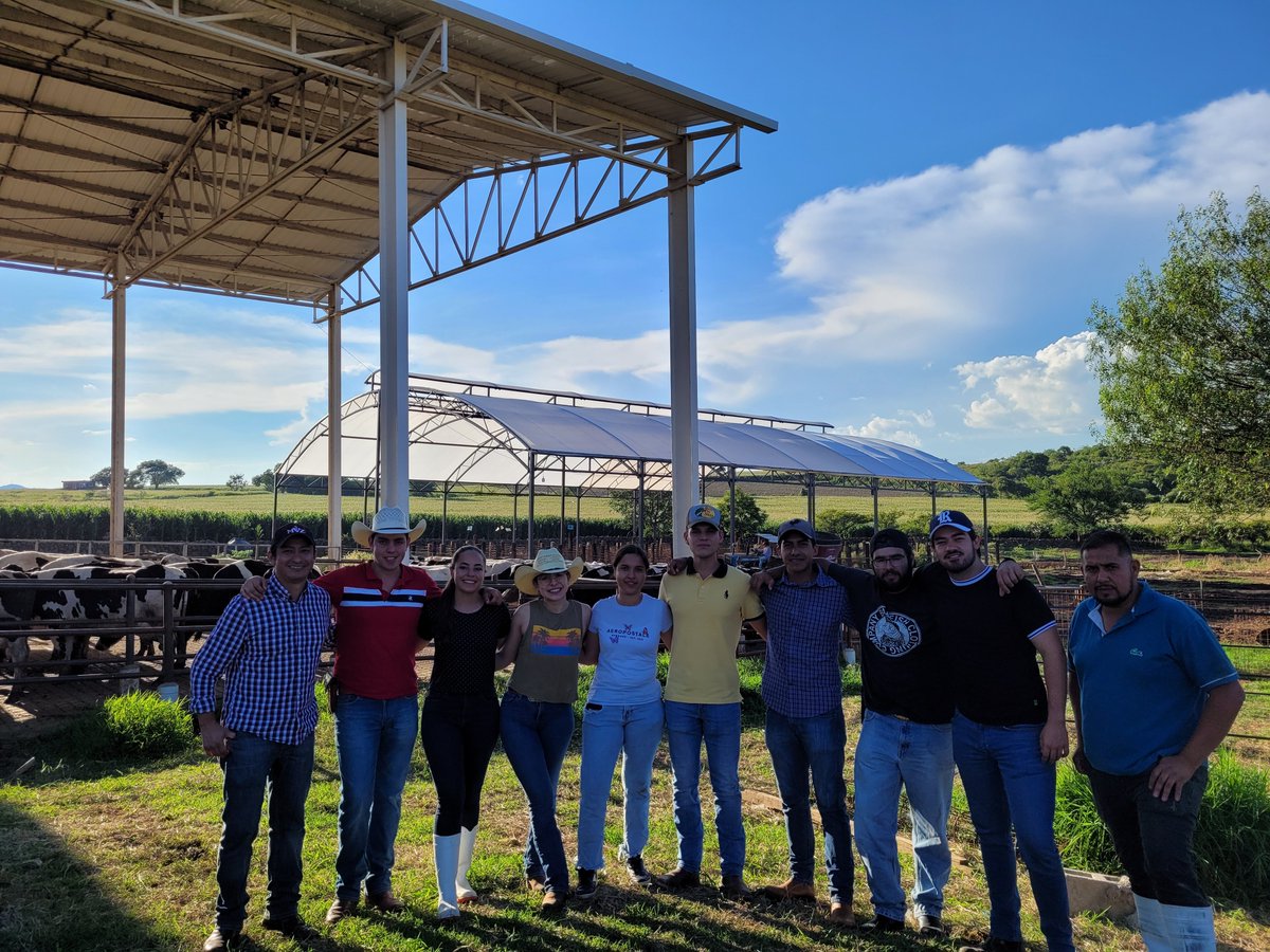 Here training vet and animal science students from <a href="/DCAI_CUAltos/">División de Ciencias Agropecuarias e Ingenierías</a> <a href="/CUAltos/">CUAltos UdeG</a> about artificial insemination in #bovines. #reprorock