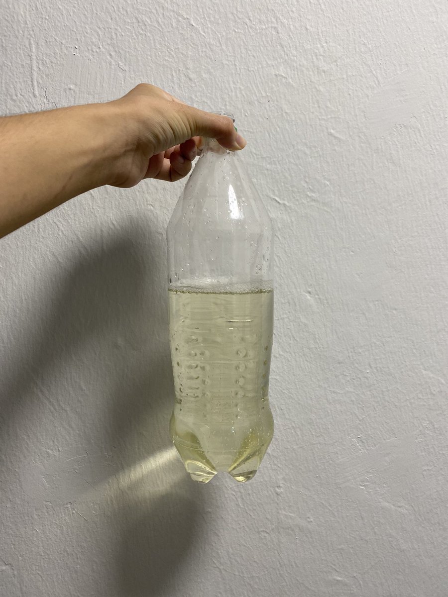 Pee in a 1.5l bottle, no bulge but I’m working towards a bigger one :)