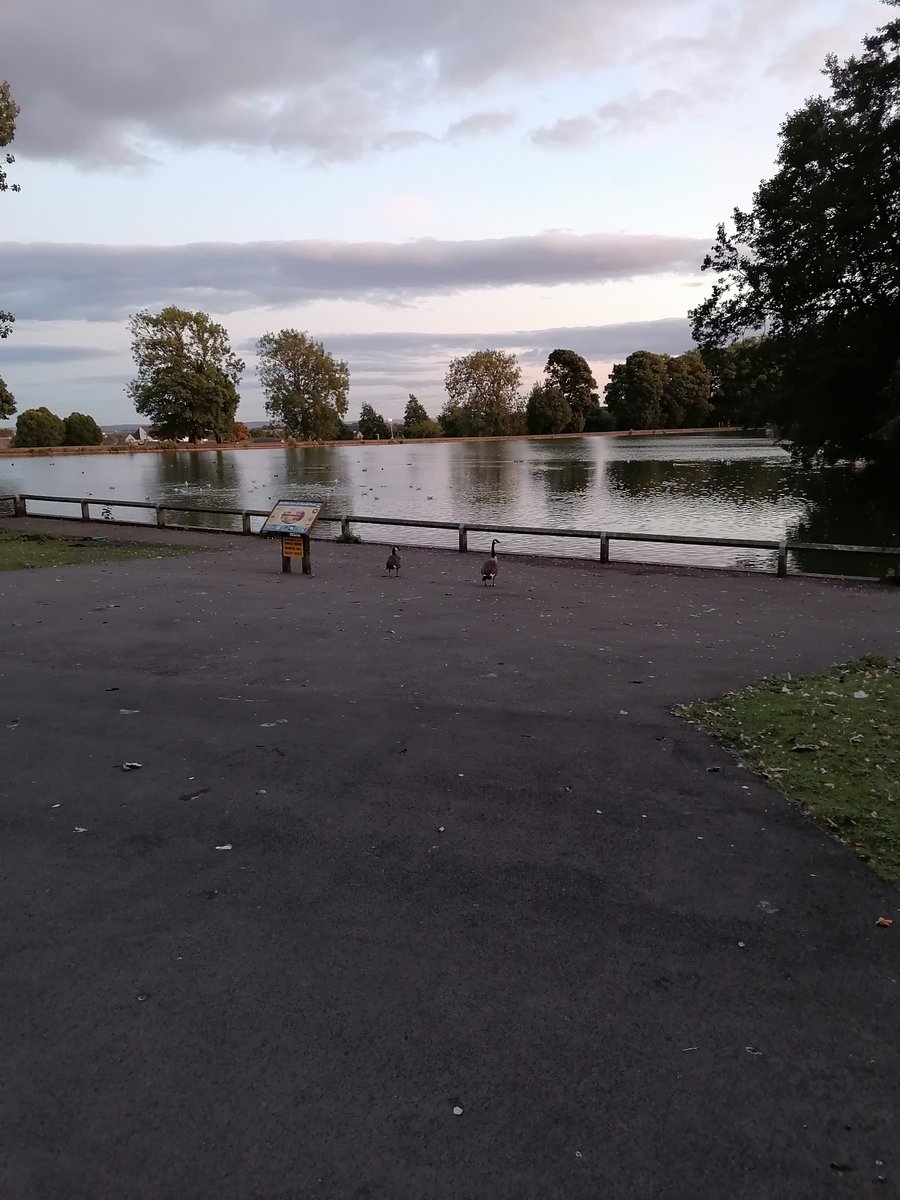 bazzie1967's tweet photo. #NHS1000MILES #nhs1000miles #NHS1000 #YTD 1845 #MILES #MTD 258 MILES #Walking #exercise #keepingfit #mentalhealth #NHSactive πππΆββοΈπββοΈποΈβοΈπ«οΈ https://t.co/dhMQpfE4tp