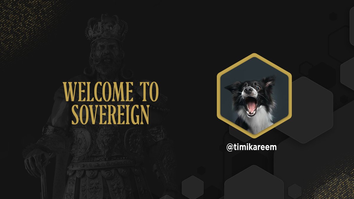 Congratulations <a href="/timikareem/">Timi</a>.

You have been accepted into @TheSovereignNFT.