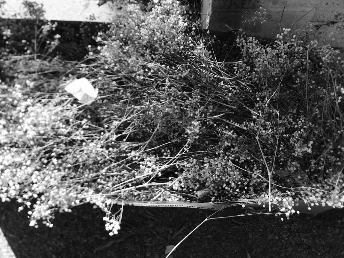 Maddantics (@pedxing66botley) on Twitter photo 