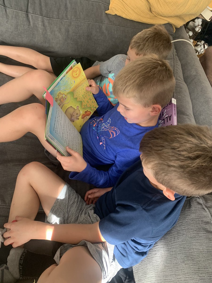 Mrs. Wolfe tweet media