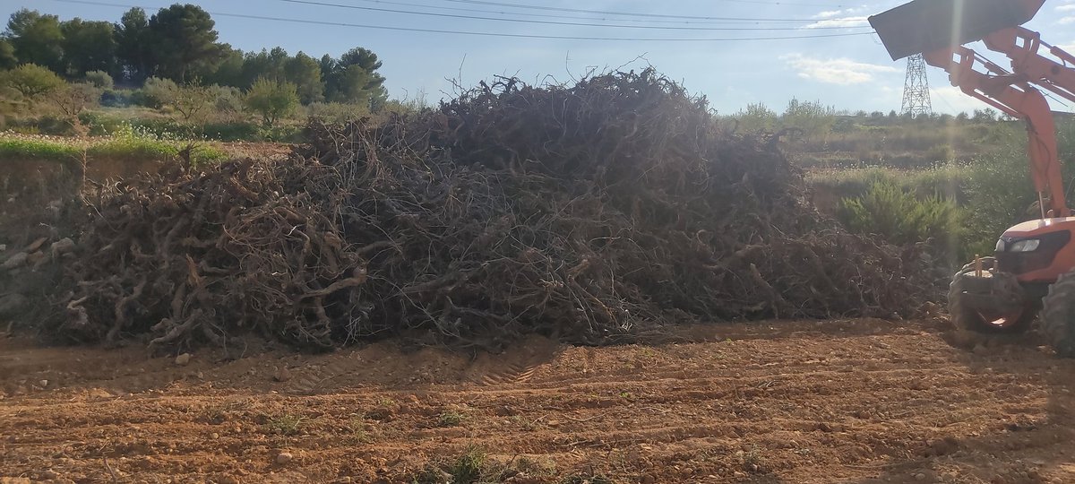 umetllamarganta's tweet photo. Ara que ja ho tinc tot apilat, tinc una pregunta pel @mapagob .
Y con todo esto que tenemos que hacer? https://t.co/Ir0YTSuEdI
