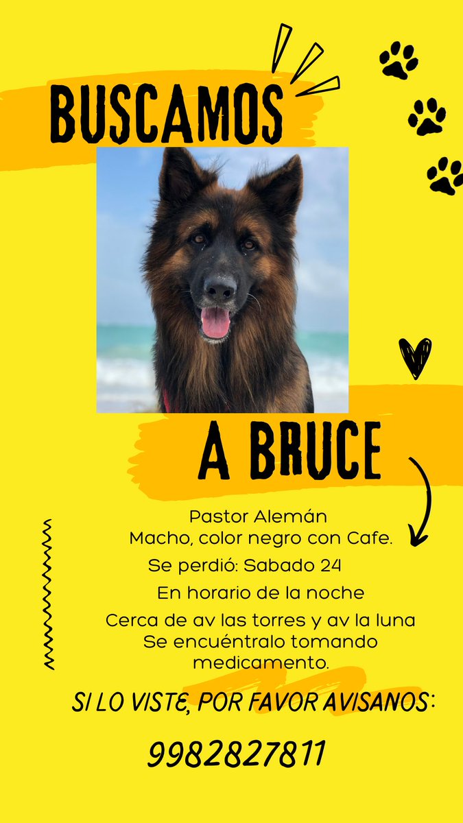 GabrielOsorioPa's tweet photo. Por fa si lo llegan a ver, es de una amiga @VivoEnCancun https://t.co/lCXLqyAAW7