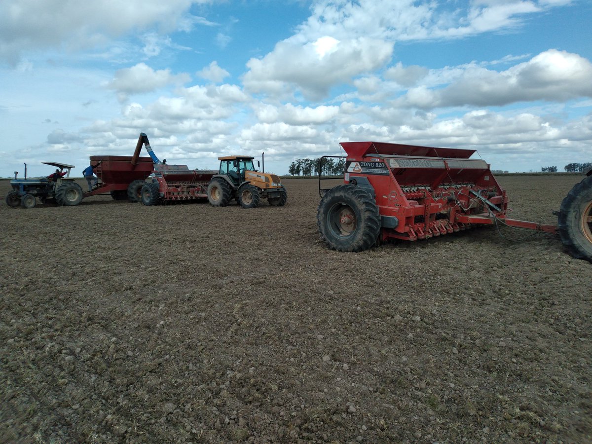 Siembra Arroz 22-23🌾🌾
💪💪