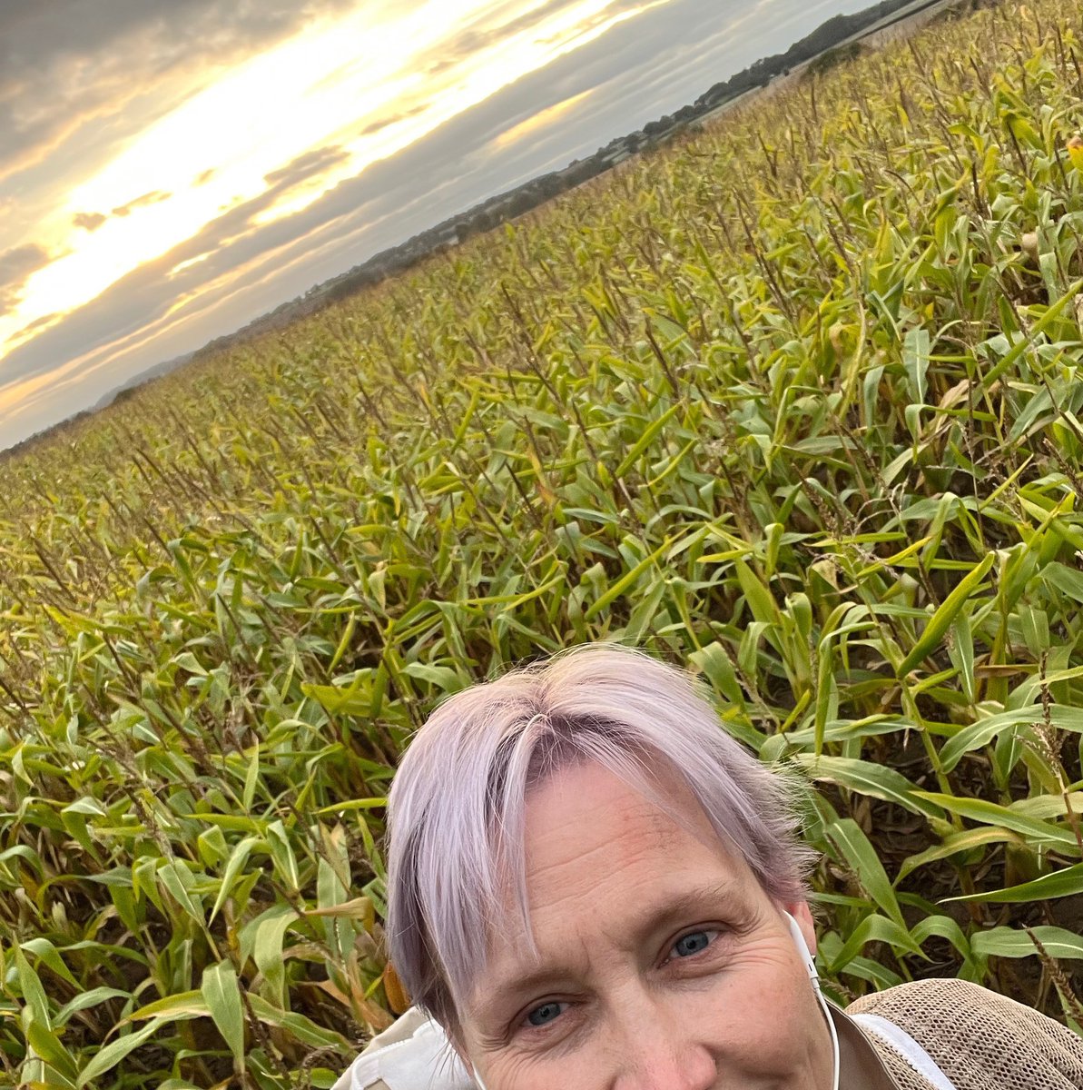 Hedgerow_honey's tweet photo. You never know what you are going to get when called to a bee based incident. Tonight’s was a hive that had been knocked over so an easy fix but also a beautiful sunset over Shropshire #beefarmingapprentice #loveshropshire #lovebees #lovewhereilive #lovecountryside #localhoney https://t.co/QKNT95S5HK