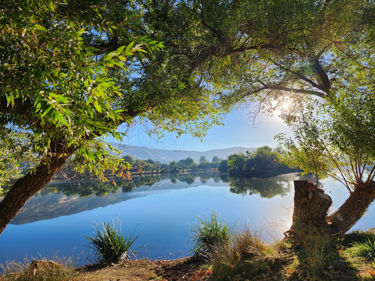 Tracy Scott Kelly tweet media