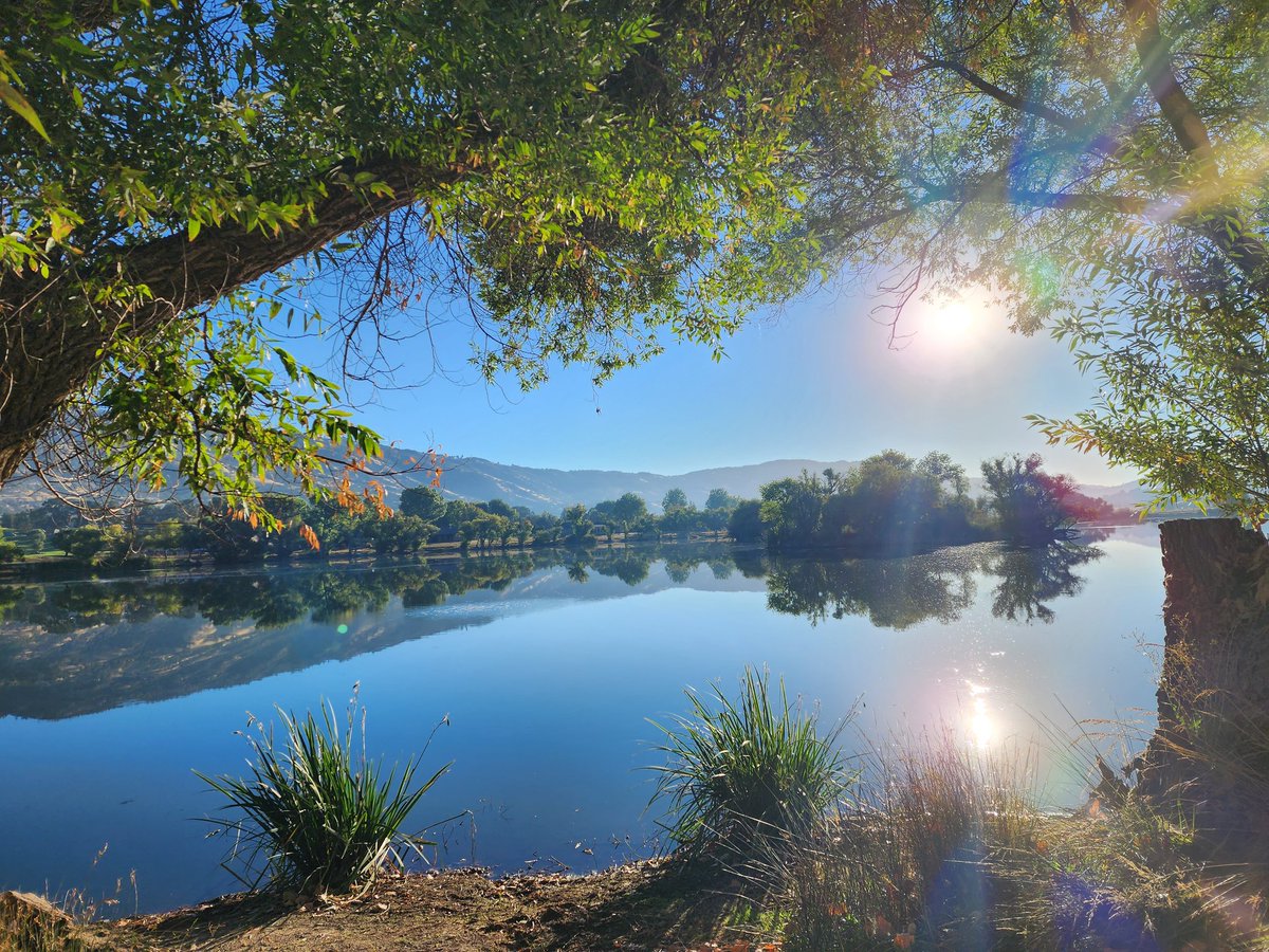 Tracy Scott Kelly tweet media