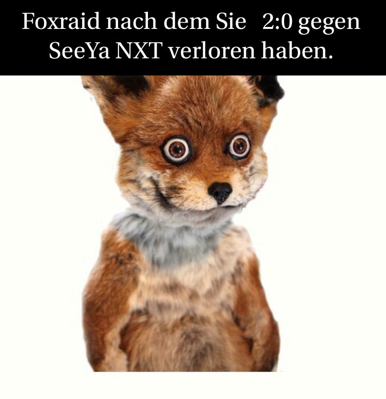 Gewinnen 2:0 gegen <a href="/FoXRaiDGaming/">FoXRaiD Gaming 🦊 @ GamescomLAN</a> !! 

A+B ist eine Wand <a href="/Flophouse1337/">Flophouse</a> 🤝🏻🤝🏻❤️❤️

Starkes Game Jungs! 

@Mythaelcs hat auch ghostig für uns Manipuliert! Ehrenmann!❤️❤️

<a href="/tabbz1337/">Loris</a> <a href="/niisoCS/">Nico Soboll</a> <a href="/kRaiN_21/">kRaiN</a> <a href="/Flophouse1337/">Flophouse</a> <a href="/seee_ya/">SeeYa!</a> 

#SEEYa