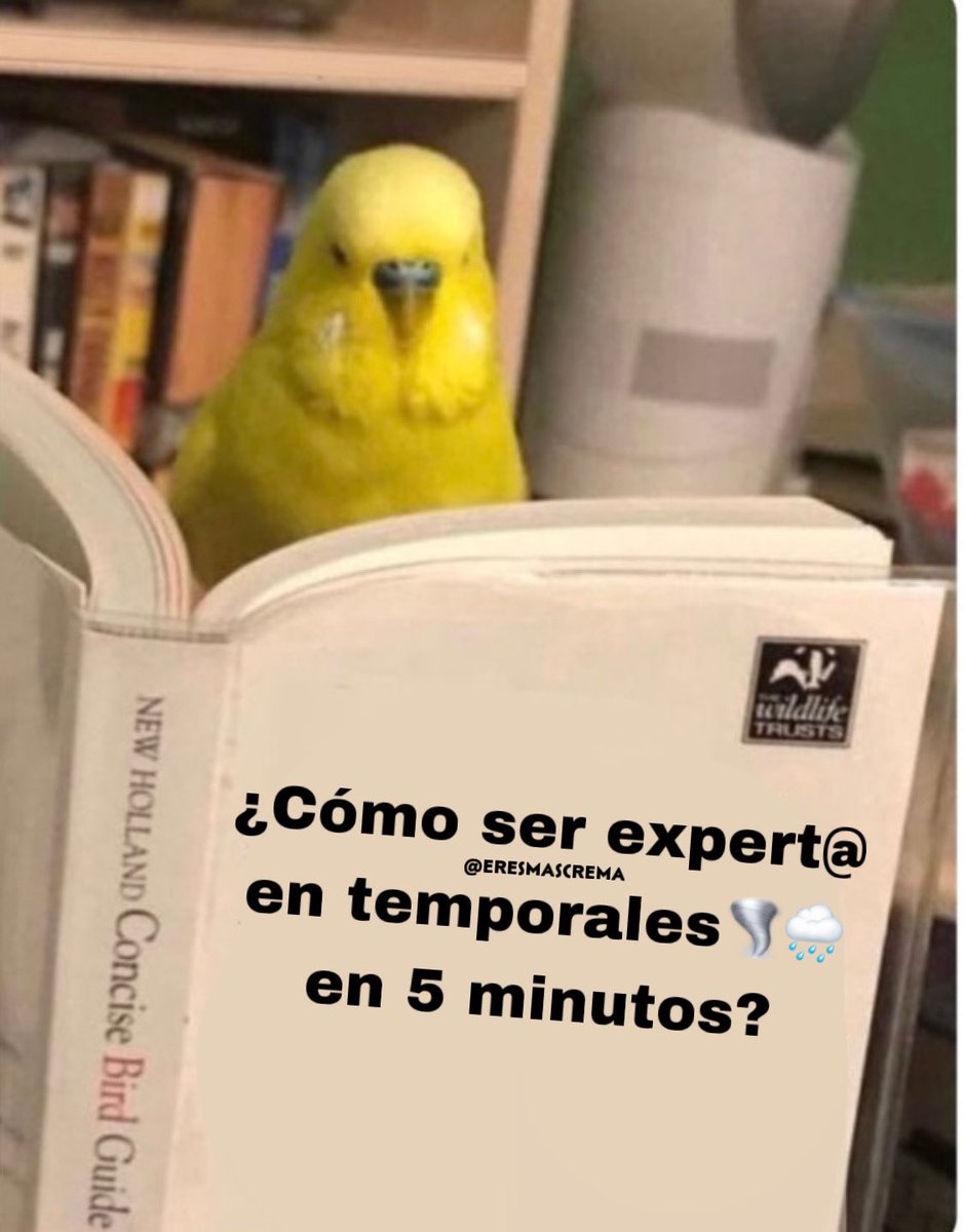 eresmascrema's tweet photo. Ya me cansé de ser vulcanólog@… https://t.co/T5JspzADnB
