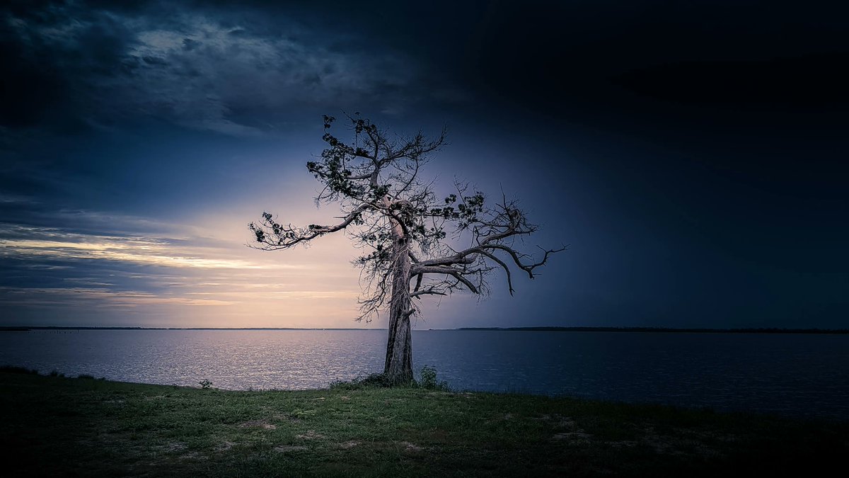 NWFLphotos's tweet photo. Caption This_________________ !!  

#Pixel6pro #P6P #photography #Captionthis https://t.co/2tW44uMkmu