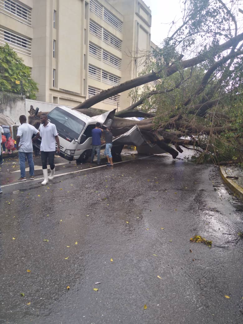 FMCENTER's tweet photo. #25Septiembre | Reportan en Santa Mónica la caída de varios árboles. Tomar previsiones quienes circulan por dicho sector. 03:05p.m 

Vía - @LaCaliforniaSi

 https://t.co/priVowbBTc