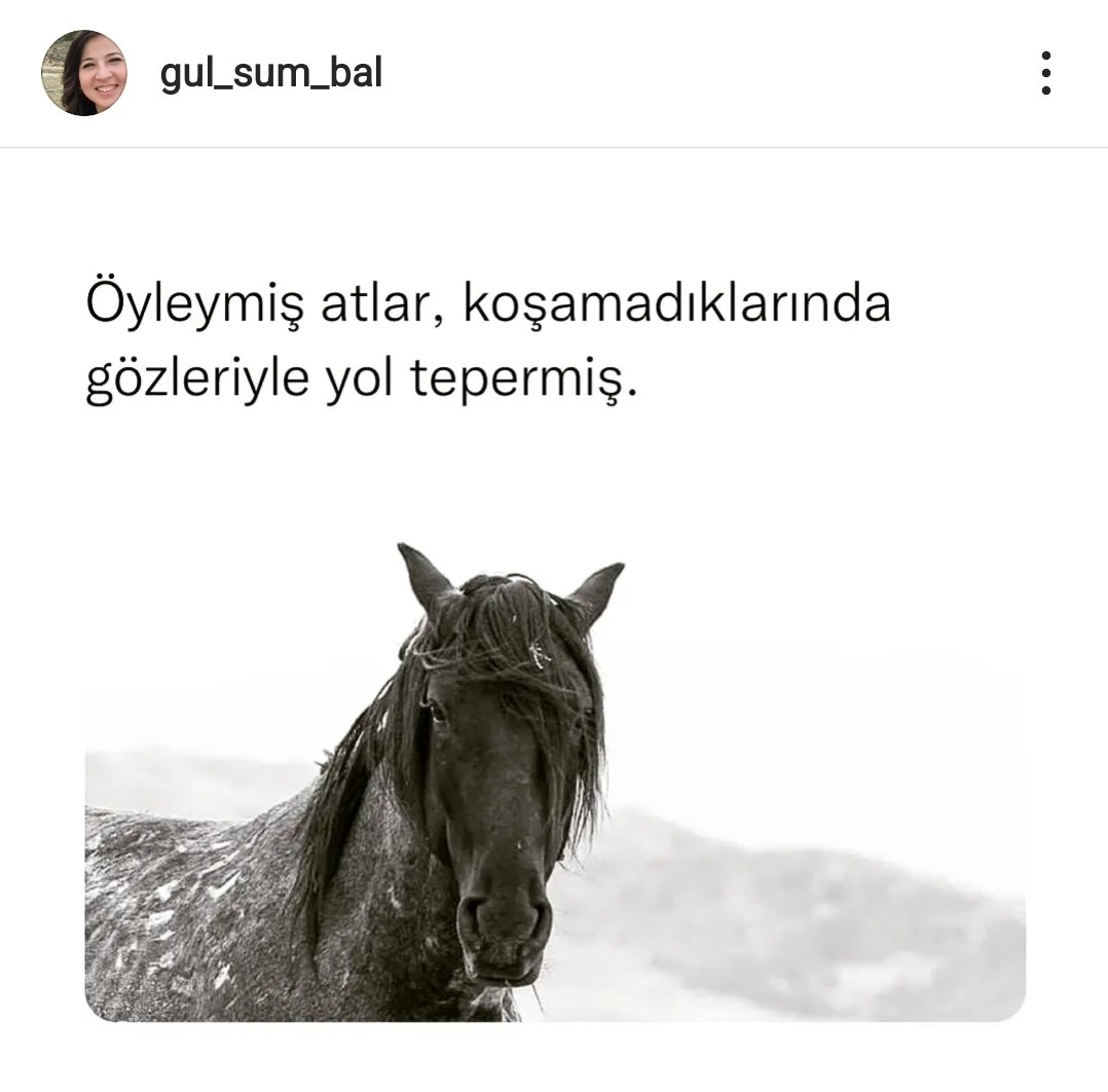 blcglsmblc's tweet photo. 🤍 https://t.co/QNAN9tAxUn