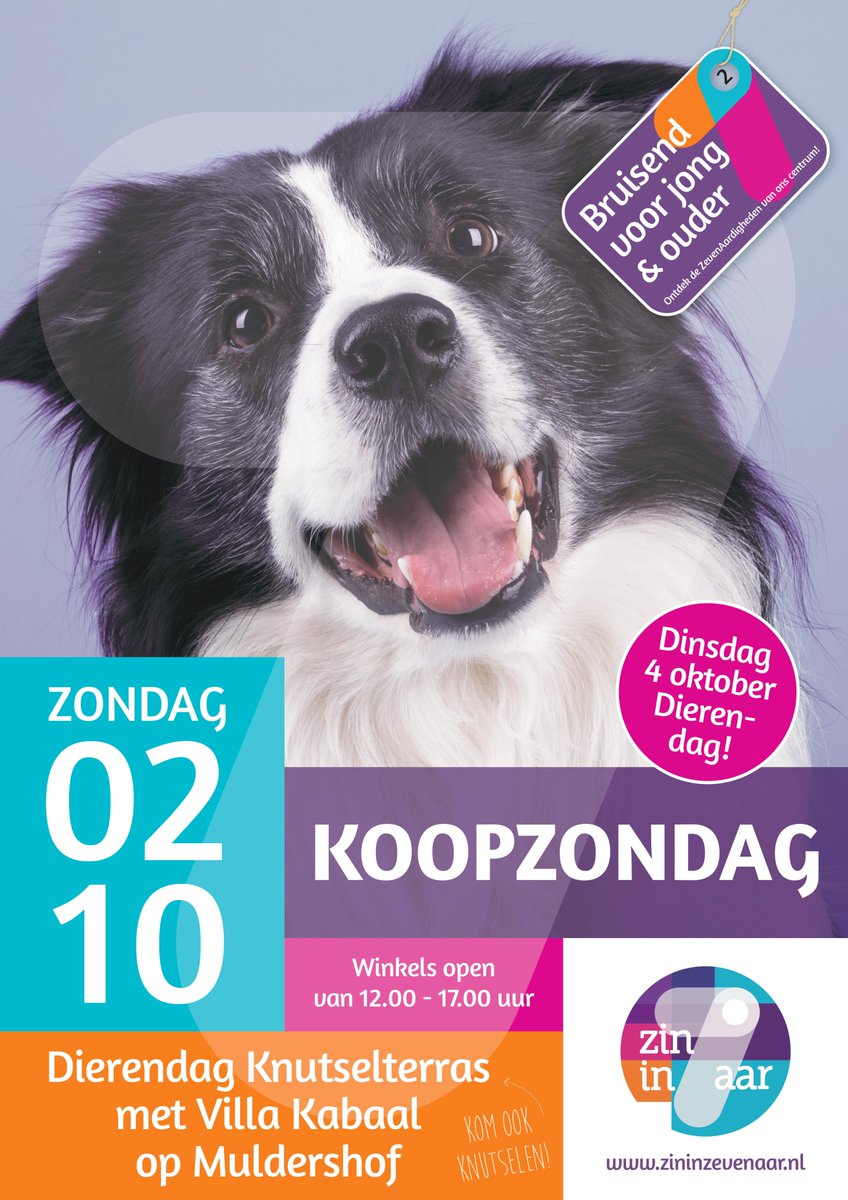 Zin in Zevenaar (@zininzevenaar) on Twitter photo 