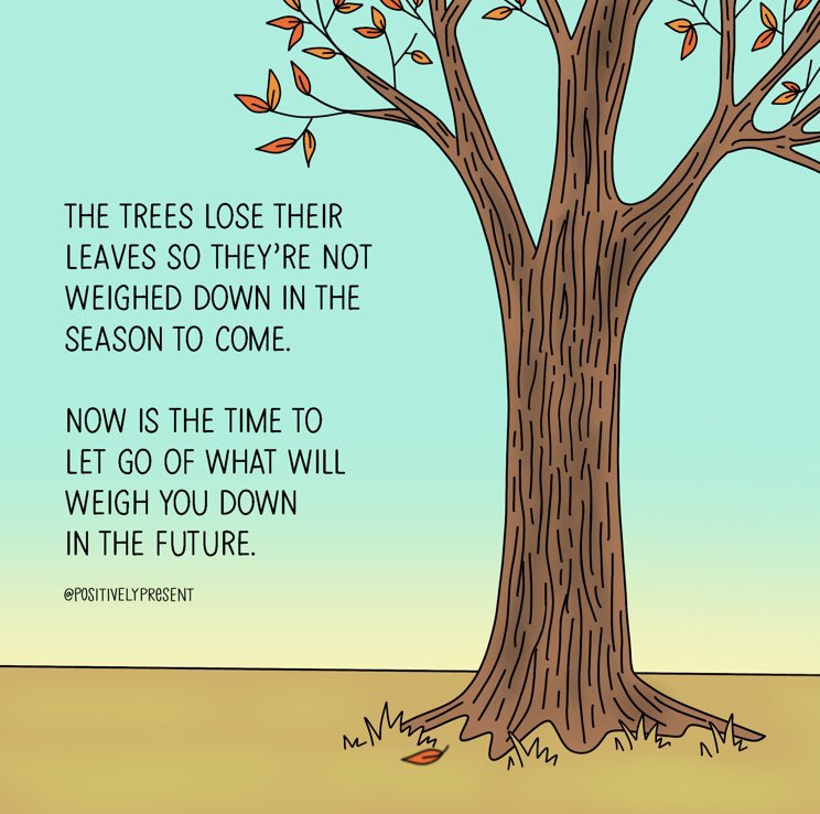 Let the dead leaves drop. Let go of what no longer serves you in order to grow! 
#thinkbigsundaywithmarsha 
#letitgo #timetogrow #newseason #newbeginnings