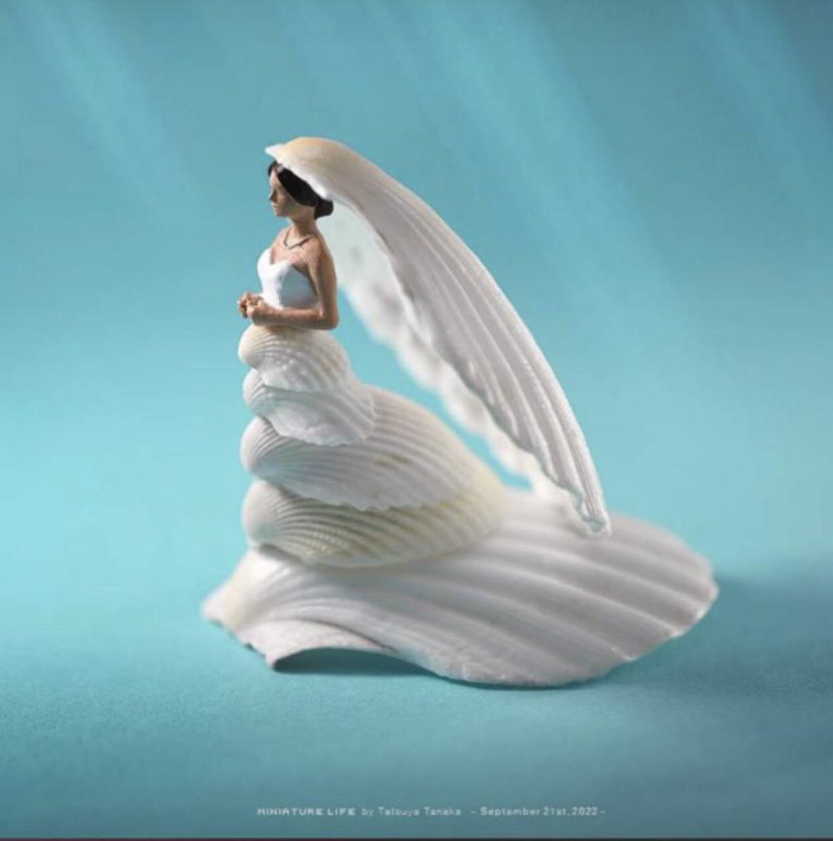 Nobody : 

‘She sells sea shells by the sea shore’ the woman that 😂😂😂😂😂