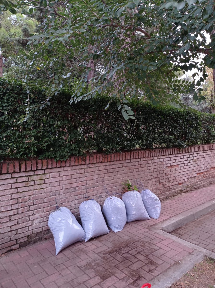 iturriagatheone's tweet photo. Las bolsas están cerradas frente al portal número 7 de la calle. Podéis pasar a recogerlas (si os viene bien, eh!) sino los vecinos nos buscaremos la vida. https://t.co/ZfuGE2L7Hl