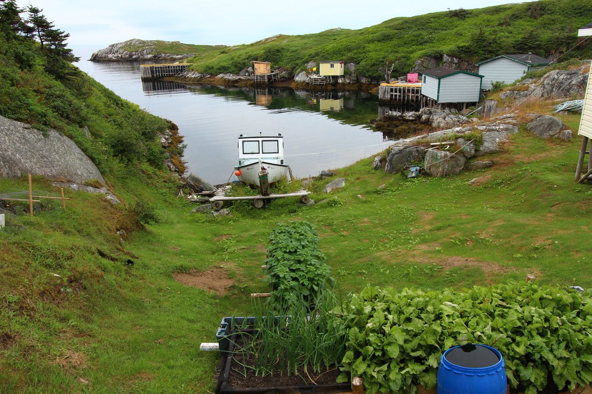 AuntTriffie's tweet photo. These before and after pics are devastating. Taken from the same spot in Fox Roost,Newfoundland and Labrador #nlwx
#HurricaneFiona @BrentNorthcott https://t.co/0o7Ce13eTz