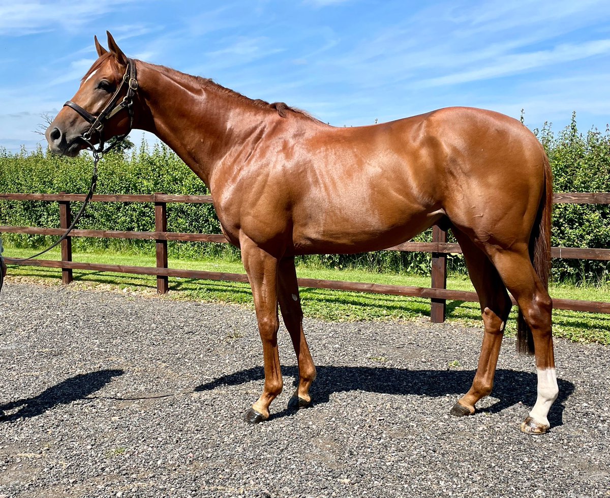 Tim Rusbridge tweet media