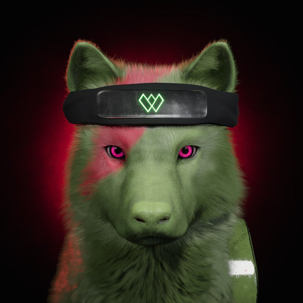 earth2viking's tweet photo. @ShinyWilder @janwachtmeester @WilderWorld @WilderBeastsNFT Mine & @Yoyo_mcbean’s #WildWolfPack https://t.co/EnZfwajciO