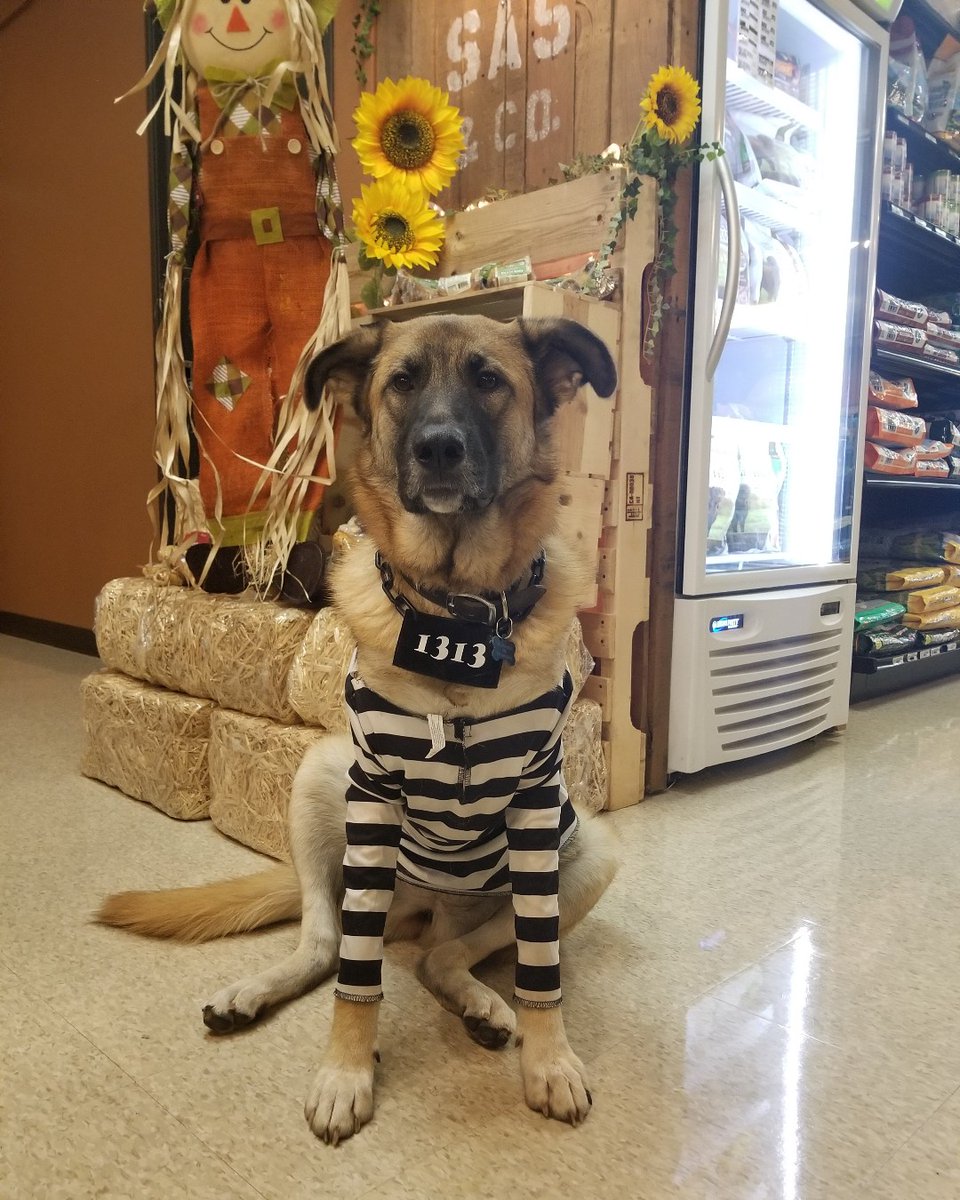 DoveLewis's tweet photo. ⏲️ Limited time left! ⏲️ #Signup before midnight tonight for our Dogtoberfest Costume Contest and you'll be entered to win a special Dogtoberfest prize pack!
Don't miss this special offer and join us at this fun event! #pdxevents #pdxpets #dogtoberfest
https://t.co/0dDhaoThli https://t.co/dykHFkEDSa