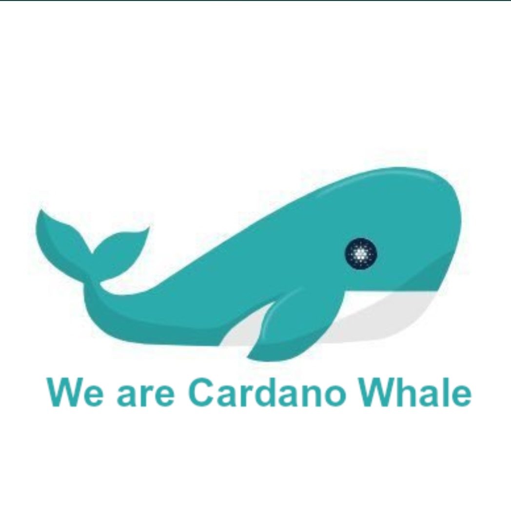 You are probably wondering why a lot of those you follow now share a PFP? 

The thing is <a href="/cardano_whale/">whale</a> is not some “hype influencer,” he isn’t out to sell you something,He has for as long as I remember embodied what #Cardano stands for. For that we love Him. 

#WeAreCardanoWhale