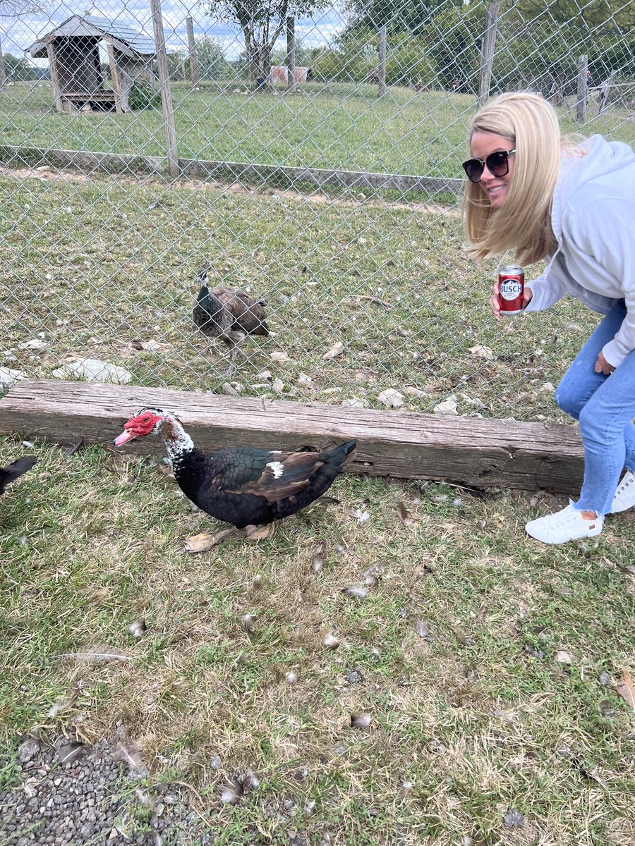 Steve Casebolt tweet media