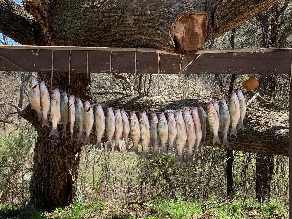 ColoradoBendSP's tweet image. Happy World Rivers Day! Sometimes our wonderful Colorado River flows fast, sometimes slow, sometimes high and sometimes low, and on and on it goes. #WorldRiversDay #lifeisbetteroutside #texasstateparks