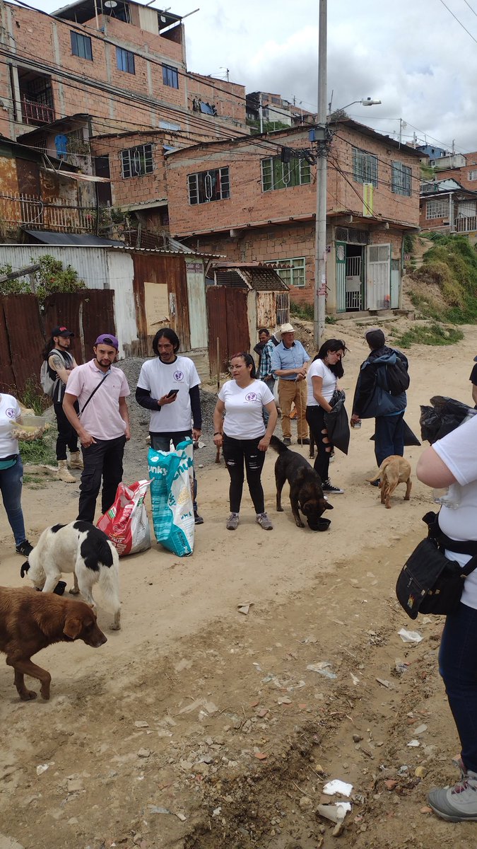 LosDeAPieOfic's tweet photo. Hoy fue un día maravillo, gracias todos los que lo hicieron posible ❤️🐕🐈
Si quieren ver la actividad completa, vayan a este link👇 https://t.co/LItWqD5qNQ https://t.co/3c09hsqdy3