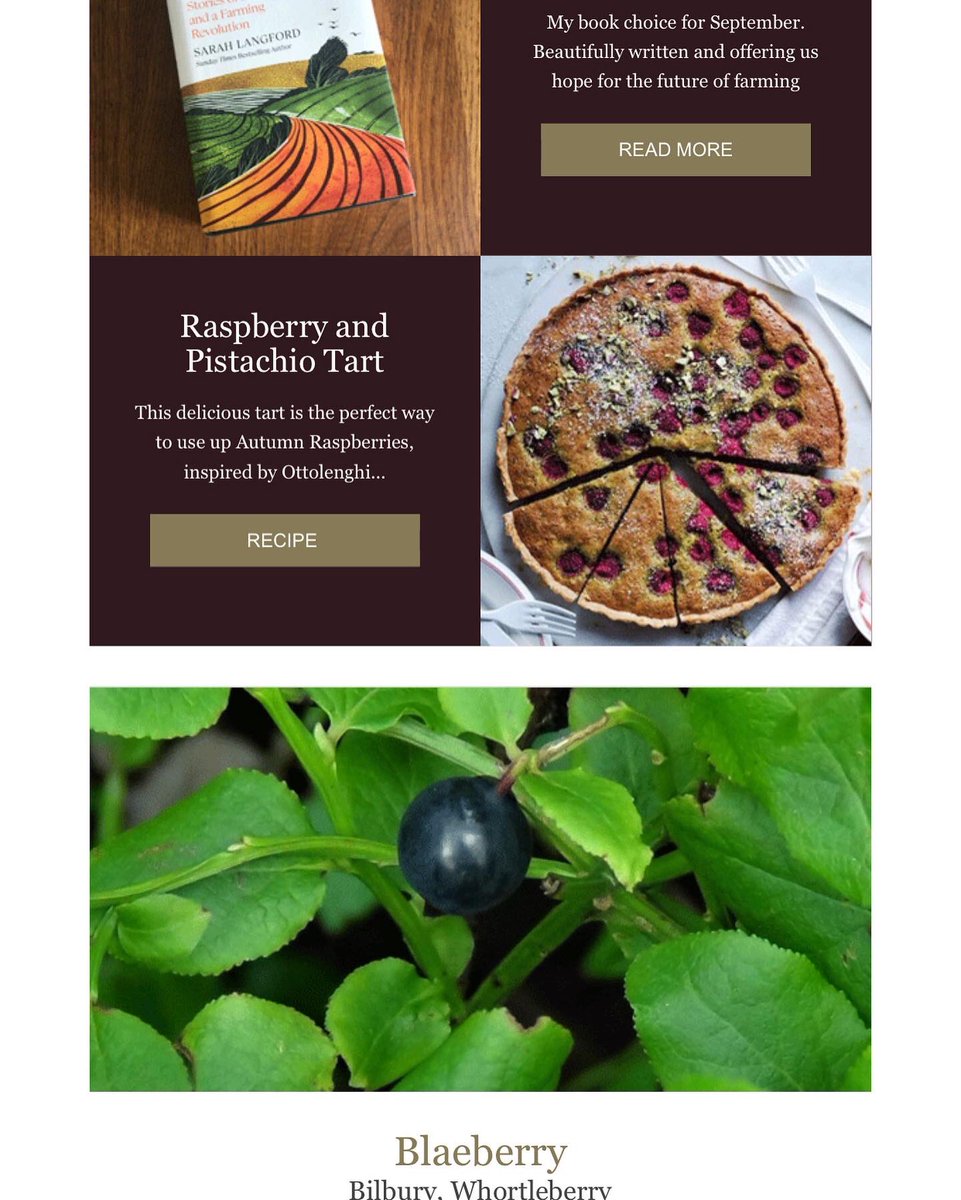 EnglishOutdoors's tweet photo. September Nature Notes is out now https://t.co/CY5UOtwfLO @SpruceEats @WildlifeTrusts @ottolenghi @BnRExpress @wigsandwords https://t.co/SBPEoLjXDh