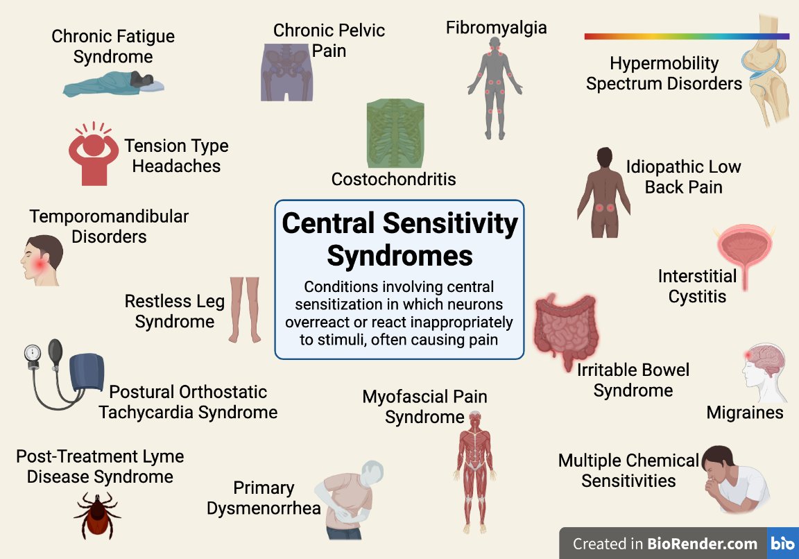 lynnswaf's tweet photo. Multiple central sensitivity syndromes can be found together since their underlying mechanism is the same. I have at least 6 of them. #PainAwarenessMonth #hypermobility #HSD https://t.co/nibWw4sHQq