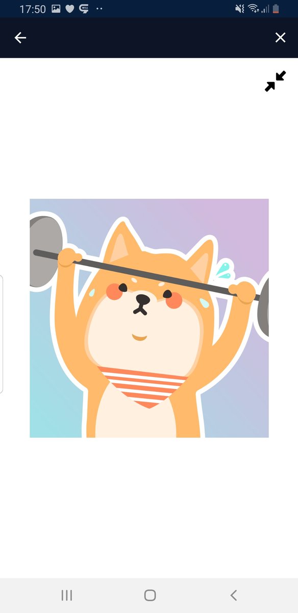 RobertRettenst1's tweet photo. @carlmoon #shiba pump it https://t.co/02LDQvfDLq