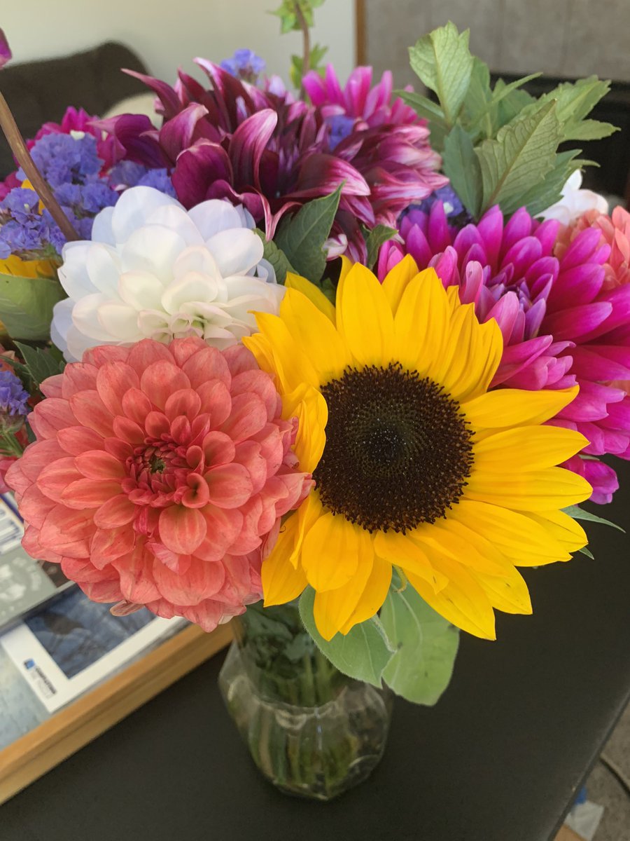 eaglejoy11's tweet photo. #feelingloved when your feeling sick and your niece @alesha_padron brings you flowers to brighten your day. https://t.co/C84gPXii37