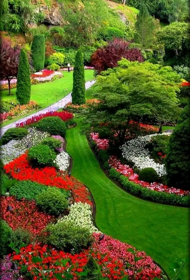 I do love nature ❤