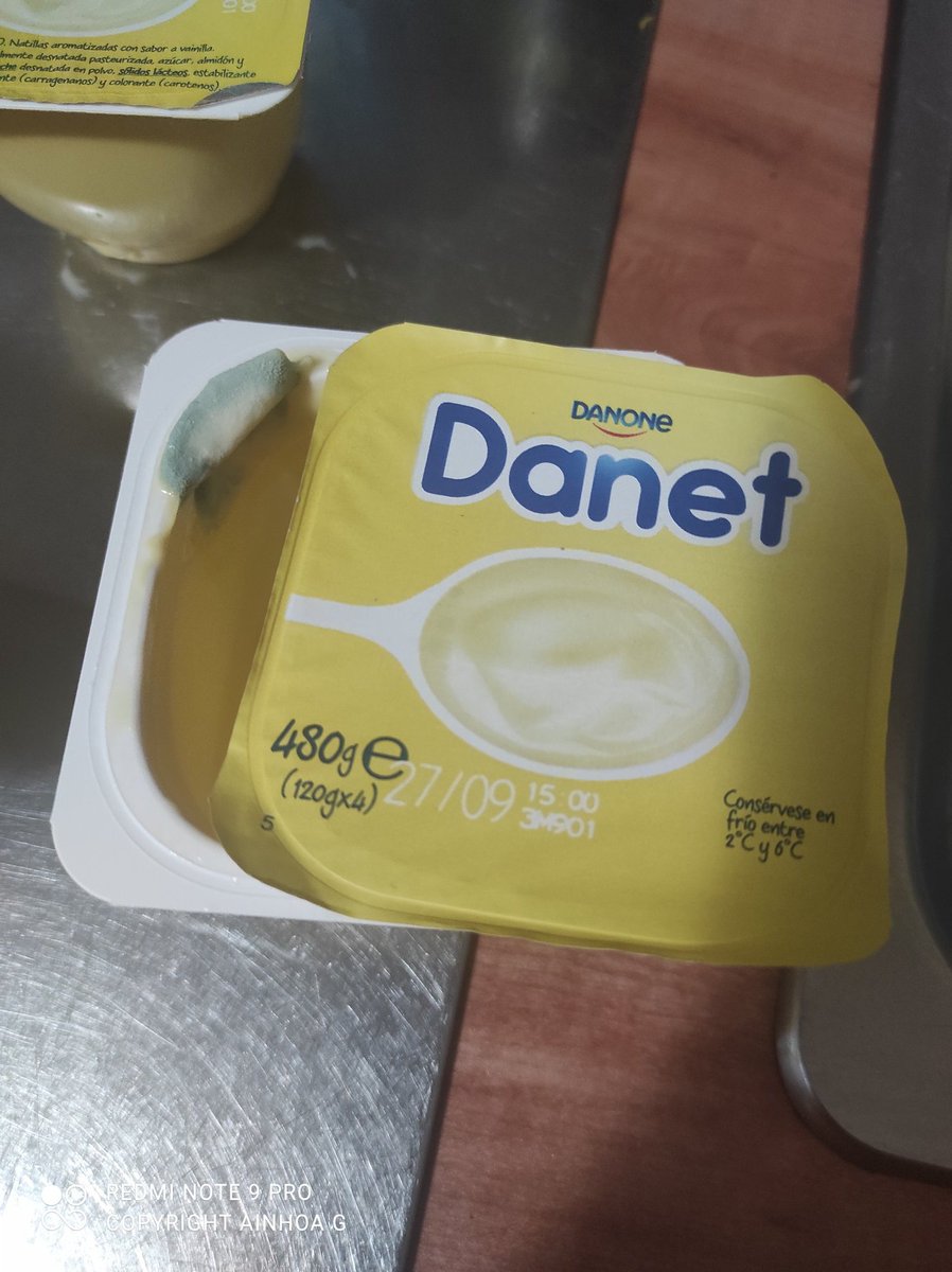 AinhoaGC tweet media