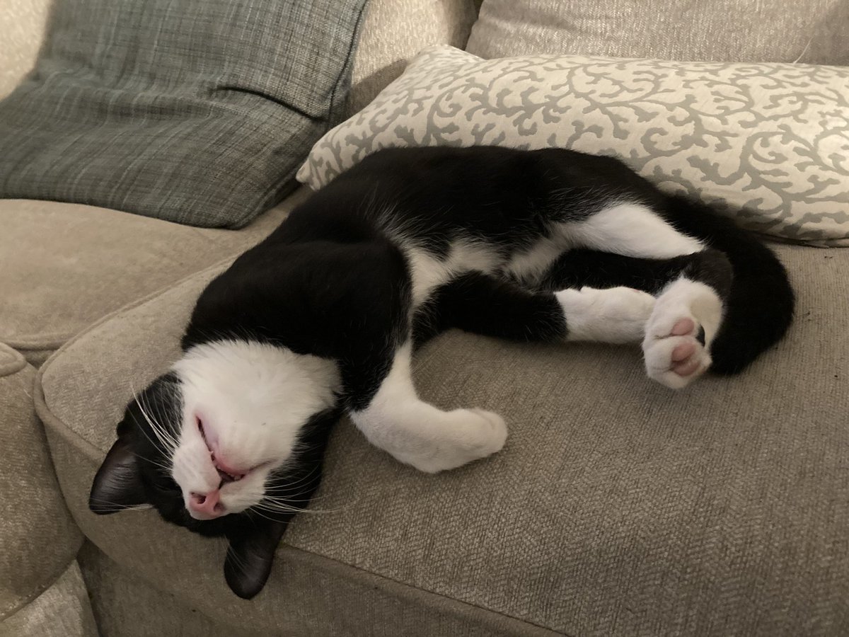 Kevin Folta tweet media